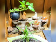 -福慧慈缘素食餐厅(王府井店)