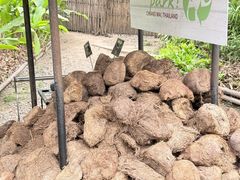 -大象粑粑造纸公园