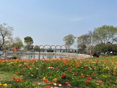 -鹅湖玫瑰文化园