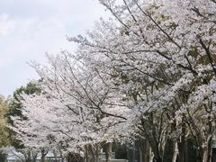 -尚贤河湿地