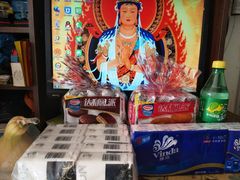 -白渔泡湿地公园