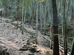 -会稽山峡洞漂流-上青古道