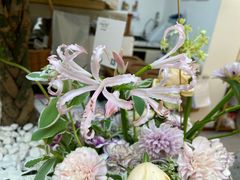 -Line 咖啡(石厦花园店)