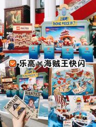 -乐高品牌旗舰店(人民广场店)