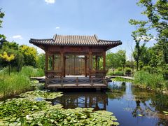 -武清南湖绿博园