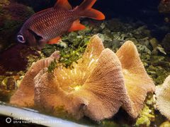 -太平洋海底世界