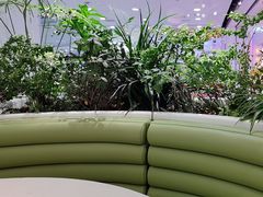 -大树餐厅(红旗街万达店)