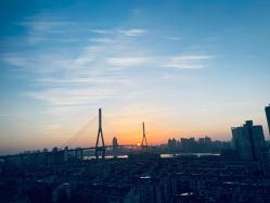 点击看大图 -复旦大学附属妇产科医院(杨浦院区)