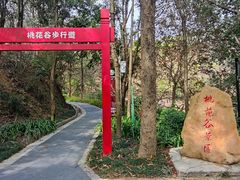 -大屏嶂森林公园