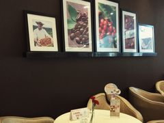 -哈根达斯(石家庄北国店)