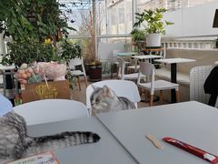 -小时光咖啡馆(北锣鼓巷店)
