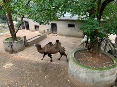 -昆明动物园