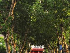 -四川大学(望江校区)