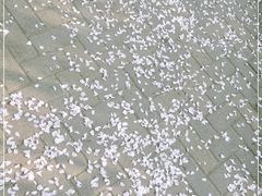 -星巴克(郑州普罗旺世店)