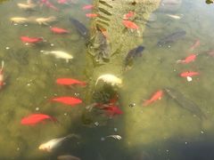 -南诏风情岛