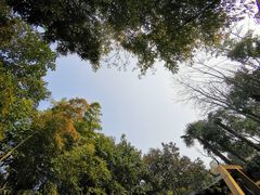 -西安国际创新人才交流中心•药浴温泉