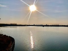 -大兴滨河森林公园