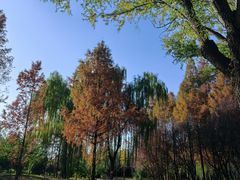 -石家庄市植物园