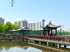 -莲花池公园