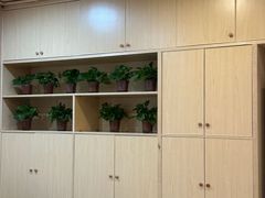 -强手盲人推拿·颈肩腰背调理(南新路店)