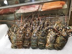 -西贡日航酒店