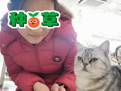 -共舞时光猫咖·狗咖(新街口店)