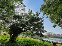 -东莞植物园
