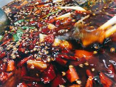 -麻辣巅峰美蛙鱼头火锅(犀浦店)
