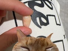 -诺贝尔一诺口腔医院(雁塔院区)