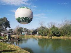 -西溪国家湿地公园