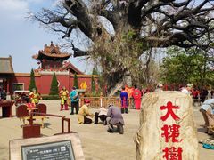 -大槐树寻根祭祖园