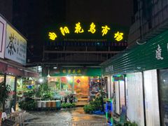 -曲阳花鸟市场(曲阳路店)