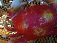 -胖哥俩肉蟹煲(来福士店)