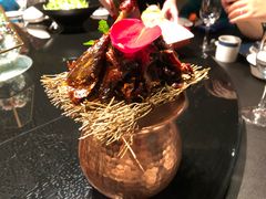 -凤凰湘语·湘粤鲜融(浦东旗舰店)