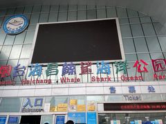 -烟台海昌鲸鲨海洋公园