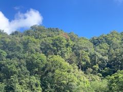 -鼎湖山风景区