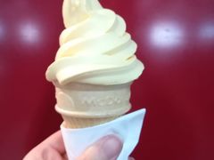 -麦当劳(中山公园龙之梦店)