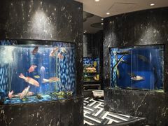 -陶陶居·雅园(凯华国际店)