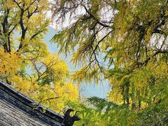 -潭柘寺景区