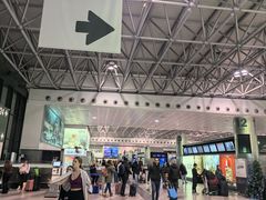 -米兰马尔彭萨国际机场