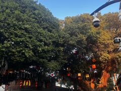 -麦当劳(南后街店)