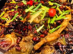 -老板恋上鱼(高新万达店)