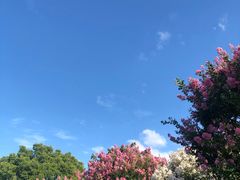 -大阪市立自然史博物馆