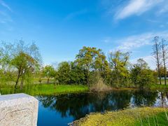 -上海长兴岛郊野公园