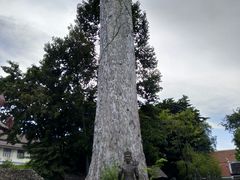 -帕辛寺