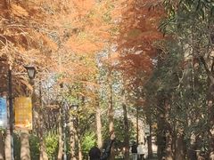 -狼山风景名胜区