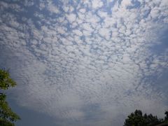 -广州市流溪河国家森林公园