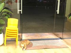 -勇气斑马·巴西柔术&跆拳道(浦东三林店)
