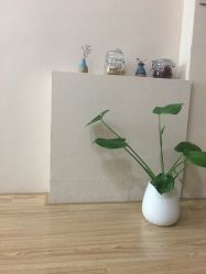 -日本直营PURE专业脱毛中心