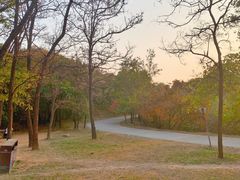 -北京西山国家森林公园